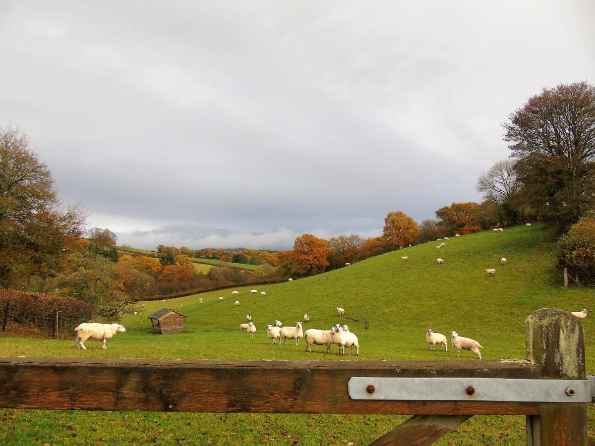 Gwilym'S Stable Apartment Builth Wells Exterior photo
